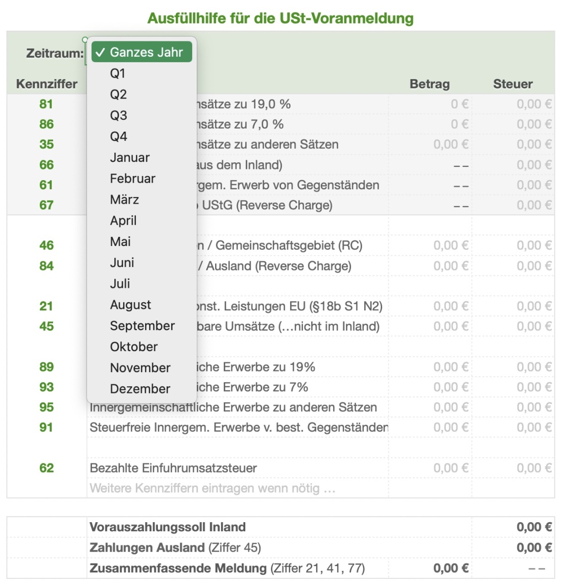 Einnahmen-Überschuss-Rechnung 2024 mit USt Ausfüllhilfe dropdown Optionen