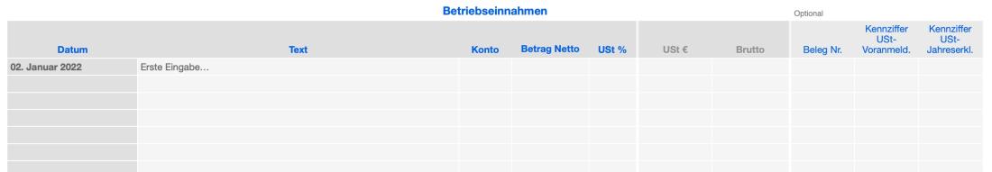 Einnahmen-Überschuss-Rechnung 2022 mit USt Betriebseinnahmen