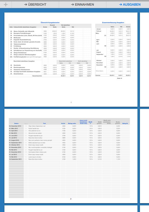Vorlage Einnahmen-Überschuss-Rechnung 2013 für Mac und iPad Druckansicht