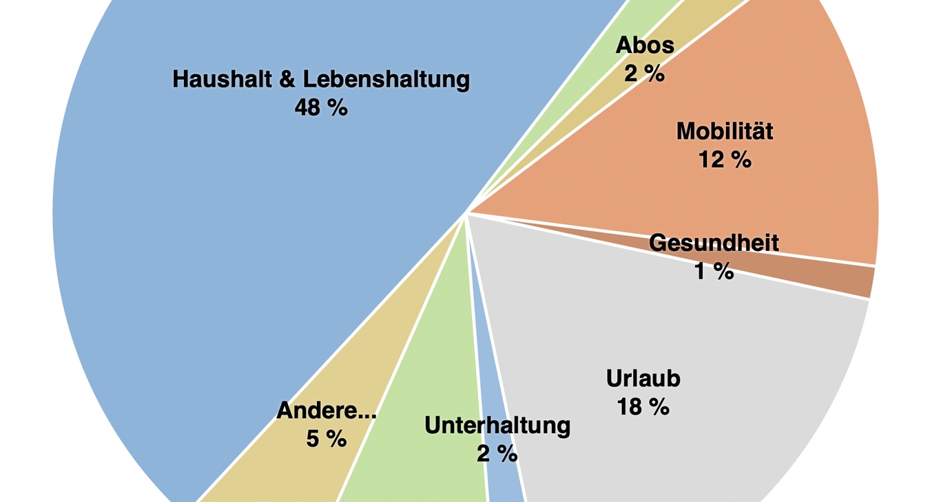 Vorlage Haushaltsbuch Chart